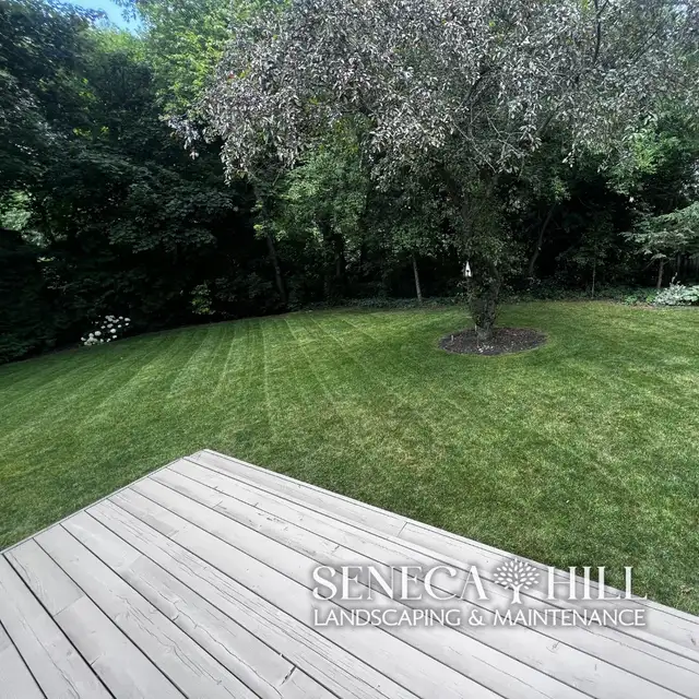 Professional Lawn Maintenance Plans | SenecaHill Landscaping in Lawn, Tree Maintenance & Eavestrough in City of Toronto - Image 6