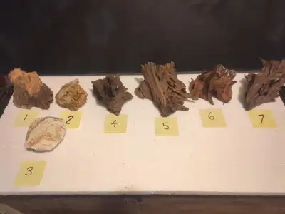 Aquarium Rocks & Driftwood, View more