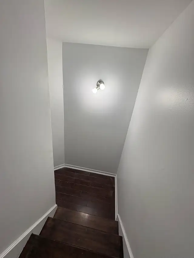 Handyman521679470467502082
