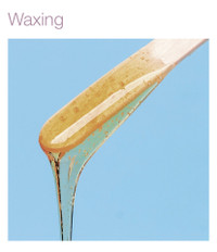 Body Waxing for both Men and Women 