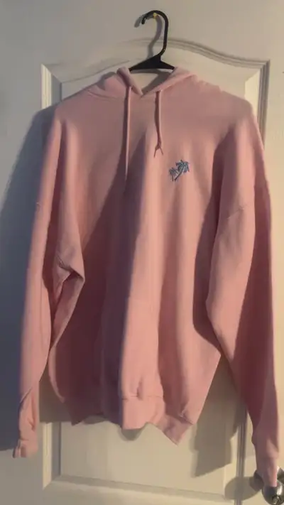 Palm Tree Embroidered Hoodie, View more