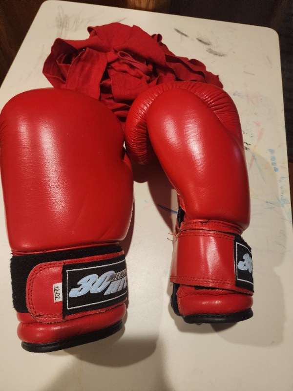 Boxing gloves in Exercise Equipment in Regina