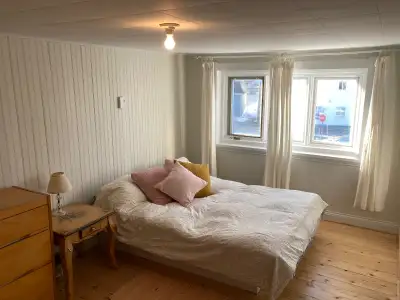 Chambre à louer dans ma magnifique maison rénovée dans le style ancien. Espaces communs tel que la c...