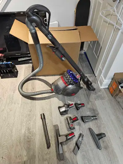Dyson Big Ball Animal, View more