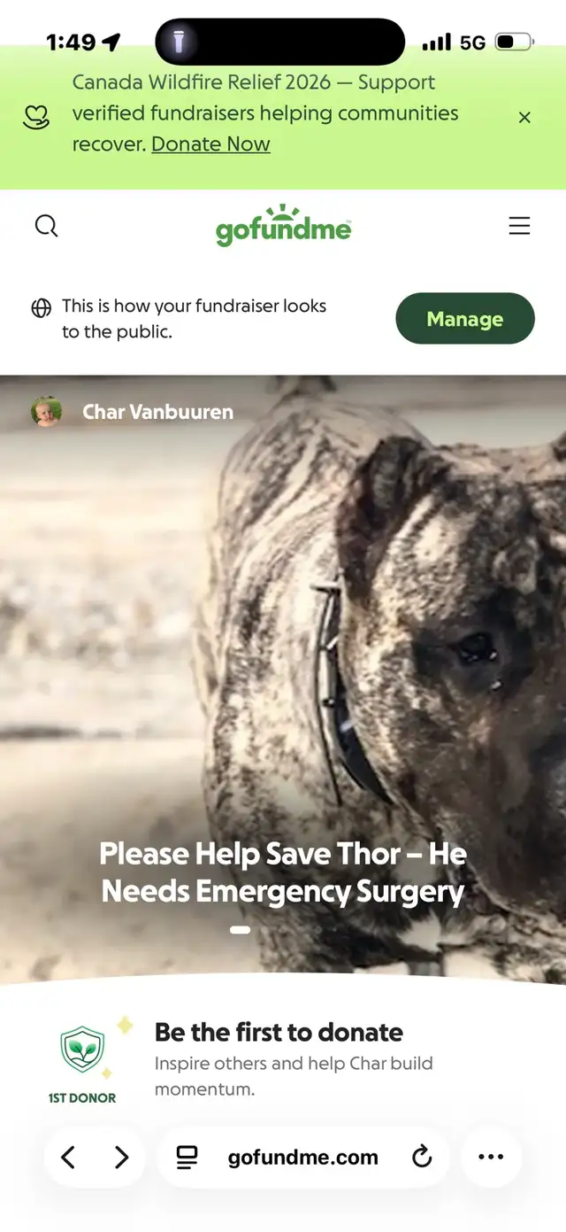  URGENT — PLEASE HELP US SAVE THOR TODAY  — KELOWNA