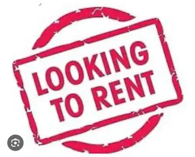 looking for basement apartment