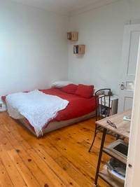 Appartment ( sub lent 1bedroom)