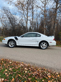 1 of 1, 1998 Mustang GT
