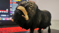 Muskox, Realistic, Plastic, Animal Design,  Hand Painted