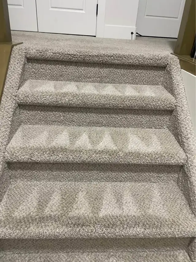 carpet deep cleaning469134724501360641