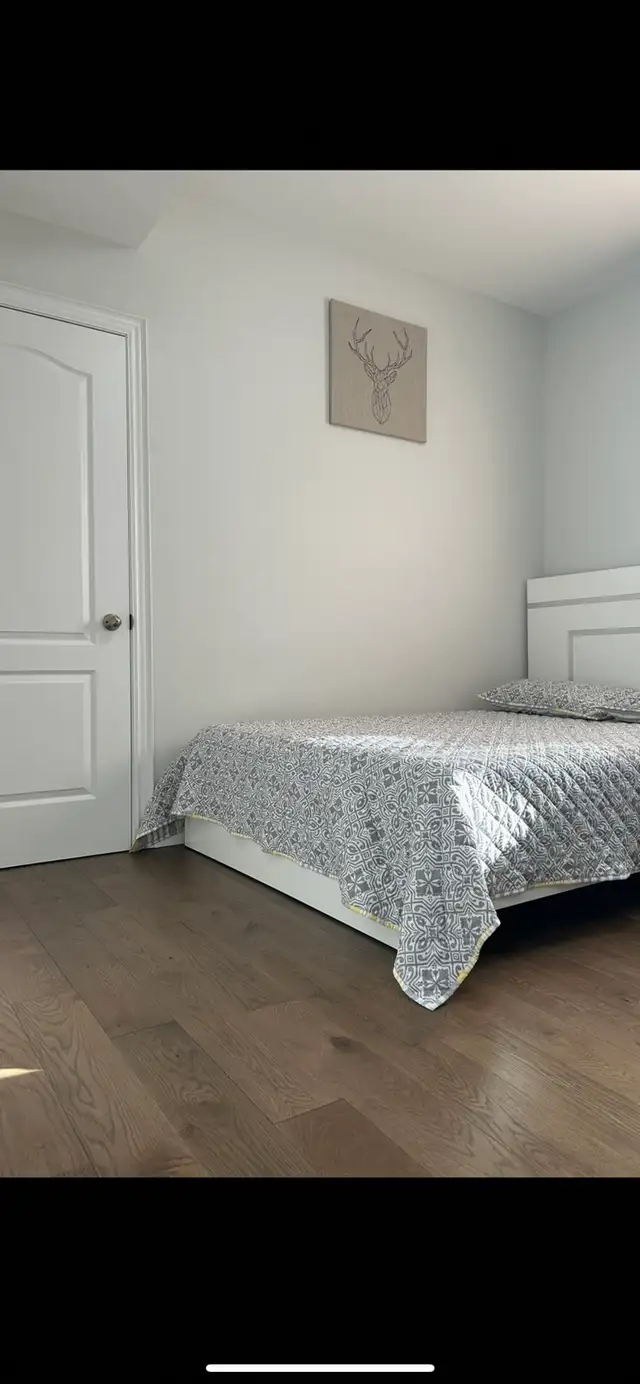 Downtown center master bathroom for rent  in Long Term Rentals in City of Toronto - Image 8