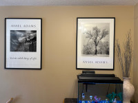 2 Lsrge Framed Andel Adams Prints