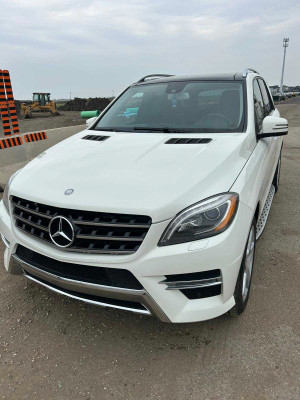 2013 Mercedes-Benz M-Class