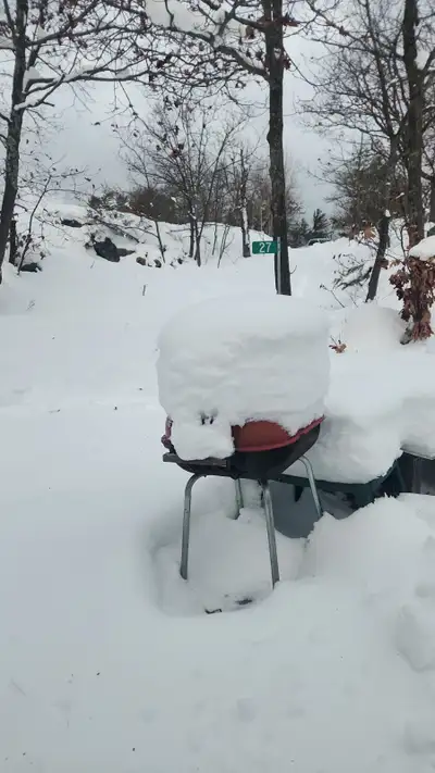 Snow blower repairs, View more