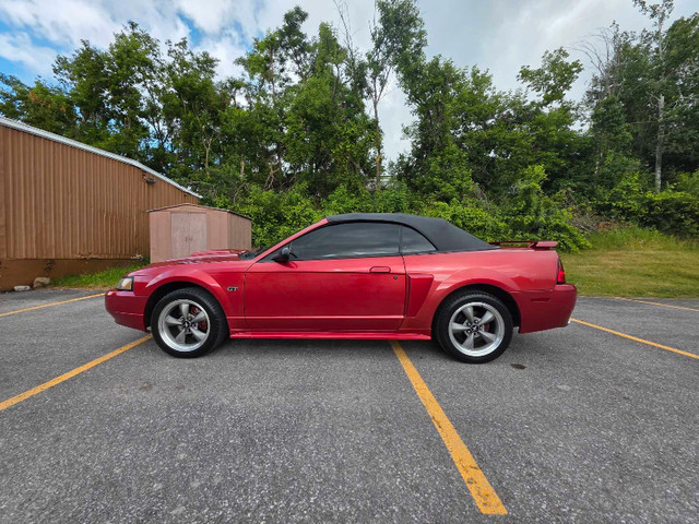 2002 Mustang GT Convertible  in Cars & Trucks in Kawartha Lakes