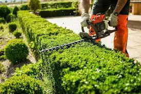 landscaping/lawn maintenance62863248203521121