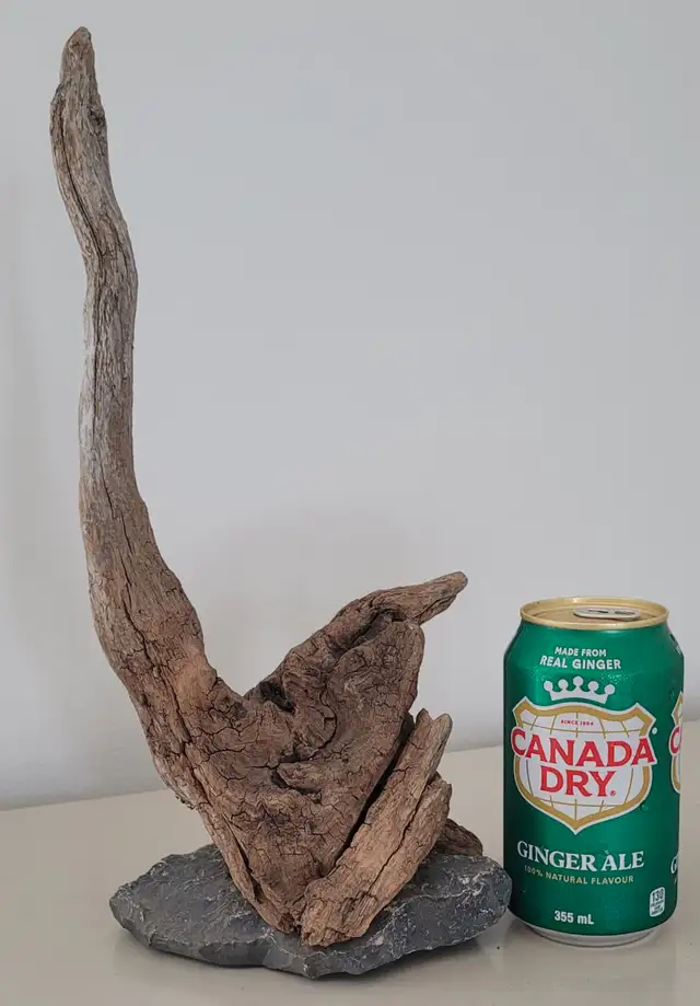 Petit Bois Flotté Accessoire sur base Aquarium Driftwood w/base in Hobbies & Crafts in Laval / North Shore - Image 7