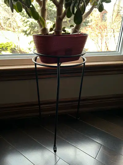 4-Piece Plant Stand Set, View more