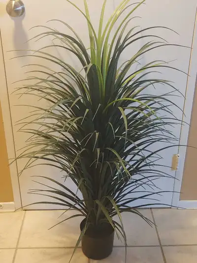 46" Faux Yucca Plant, View more