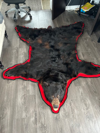 Bear rug $500