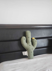 Cactus pillow 
