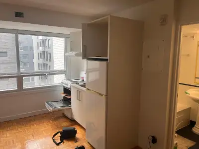 Dorchester Studio Apartment in Downtown Montreal