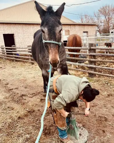 farrier. , View more