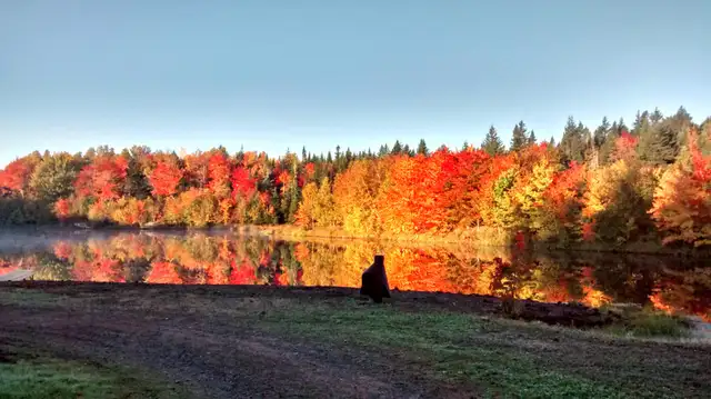 Black Bear Lodge Noonan in New Brunswick in Canada - Image 3