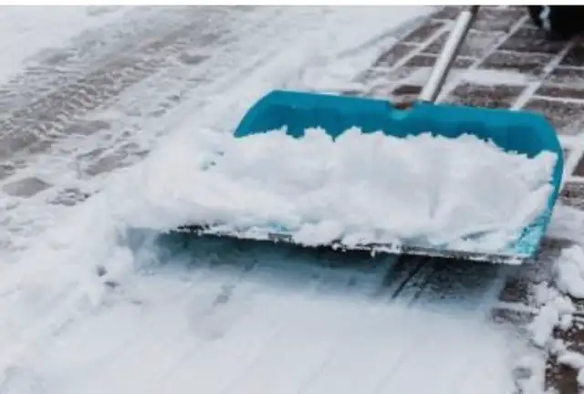 Snow Removal65203784218369120