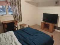 Fully furnished large room for rent