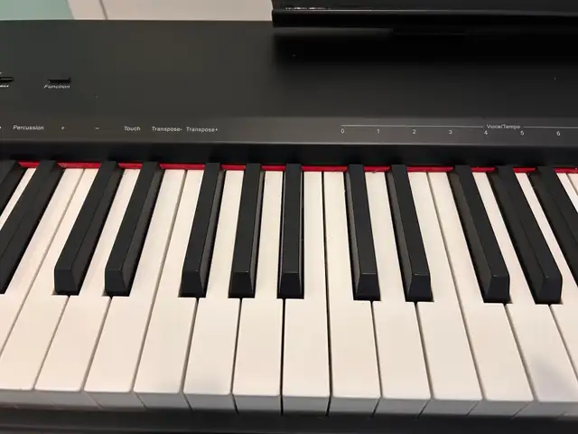 Aria P-9 Piano 88 Weighted Keys with Stand in Pianos & Keyboards in City of Toronto - Image 4