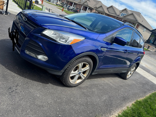2013 Ford Escape SE in Cars & Trucks in Trenton - Image 2