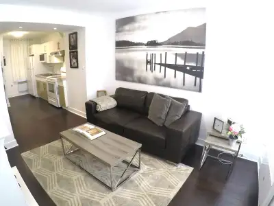3 1/2 Griffintown / Downtown. Ground floor. Immediate