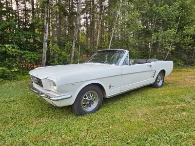 Car is in great shape has a 289 automatic. advertising it for my father inlaw. Located in st.stephen...