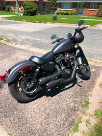 2017 Harley Sportster 883