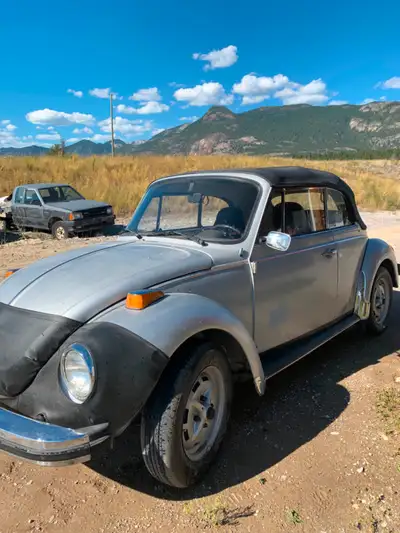 1979 Volkswagen Super Beetle Convertible Fuel Injected, More pics avail, trades welcome