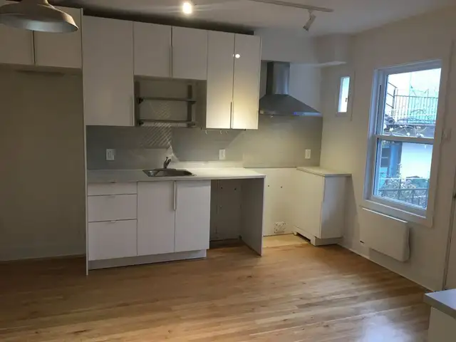 9 pièces, RDC, cave, stationnement, cour et garage dans Rosemont