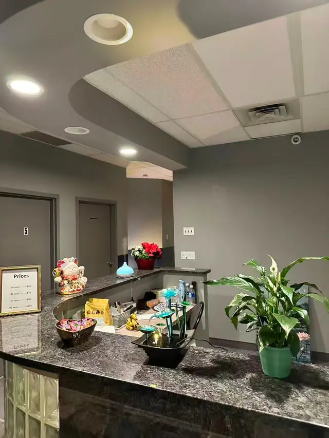 Relax, Recharge & Restore at Our Massage Spa in Massage Services in Windsor Region - Image 3