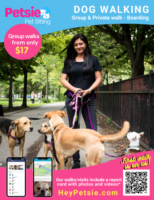 Need a Dog walker, group walks, dog boarding ? M5V in Animal & Pet Services in City of Toronto - Image 2