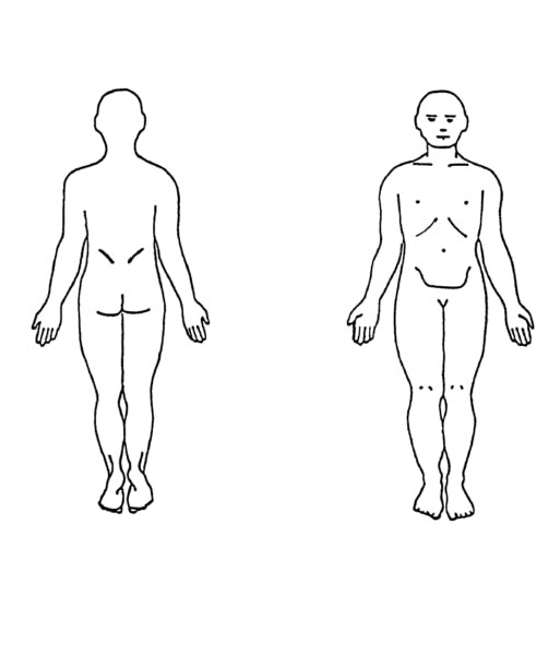 Mutts on the Matts Yoga Therapy64844384839938123