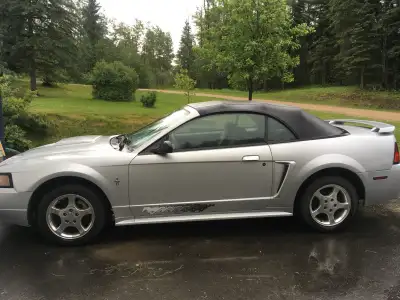 2003 Ford Mustang Convertible. This car is a classic keeper for the car enthusiast (or spouse so you...