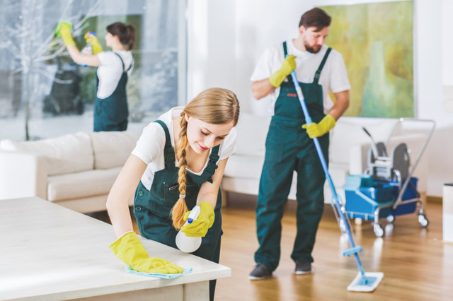 House Cleaning  in Cleaners & Cleaning in Winnipeg