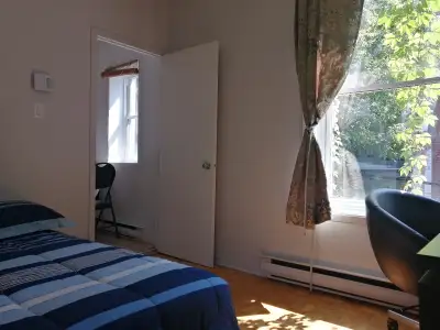 Furnished Apartment 4 1/2 in Downtown, Metro Berri-Uqam