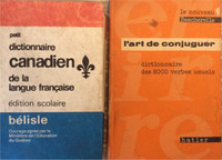 Dictionnaire QUÉBÉCOIS Leçons Grammaire Conjugaison Française 