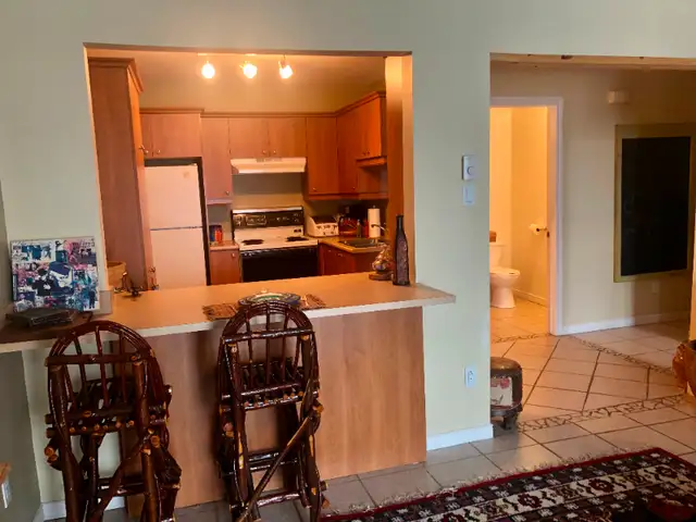 Beautiful bachelor apartment furnished by the lake62864759342337122