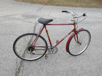 Raleigh Cruiser bicycle (Lg 23" frame)