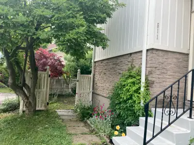 Entire home for rent with fenced backyard , shed , finished basement, 2 car parking spots .Ferndale...