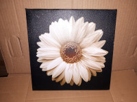 Cadre fleur blanche 11x11 pouces 10$