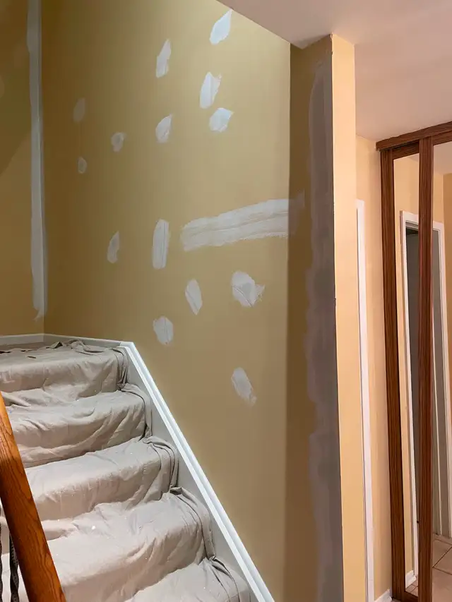 Premier painting62864353580546121