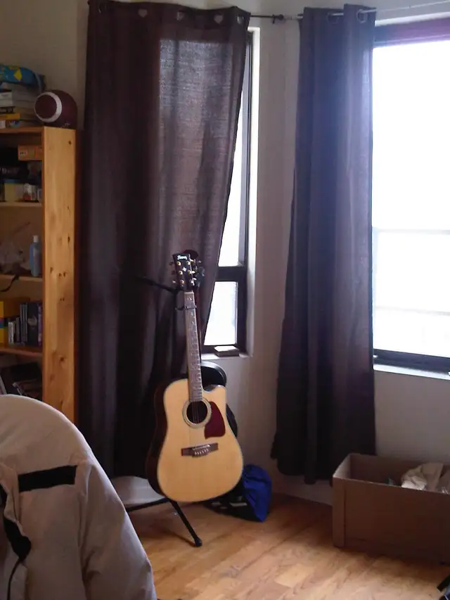 Glebe: Large,Bright 4 Bed/2 Bath,10/2 min Walk/Bus Carleton May1